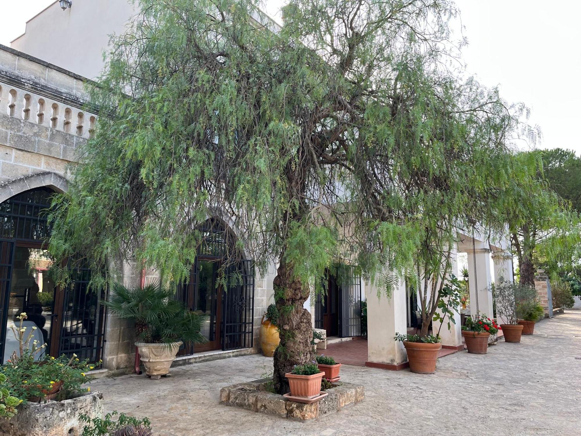 Masseria La Camardia Sava Exterior foto