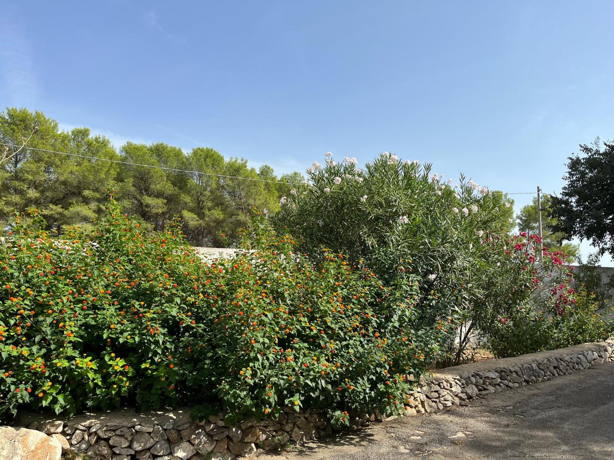 Masseria La Camardia Sava Exterior foto