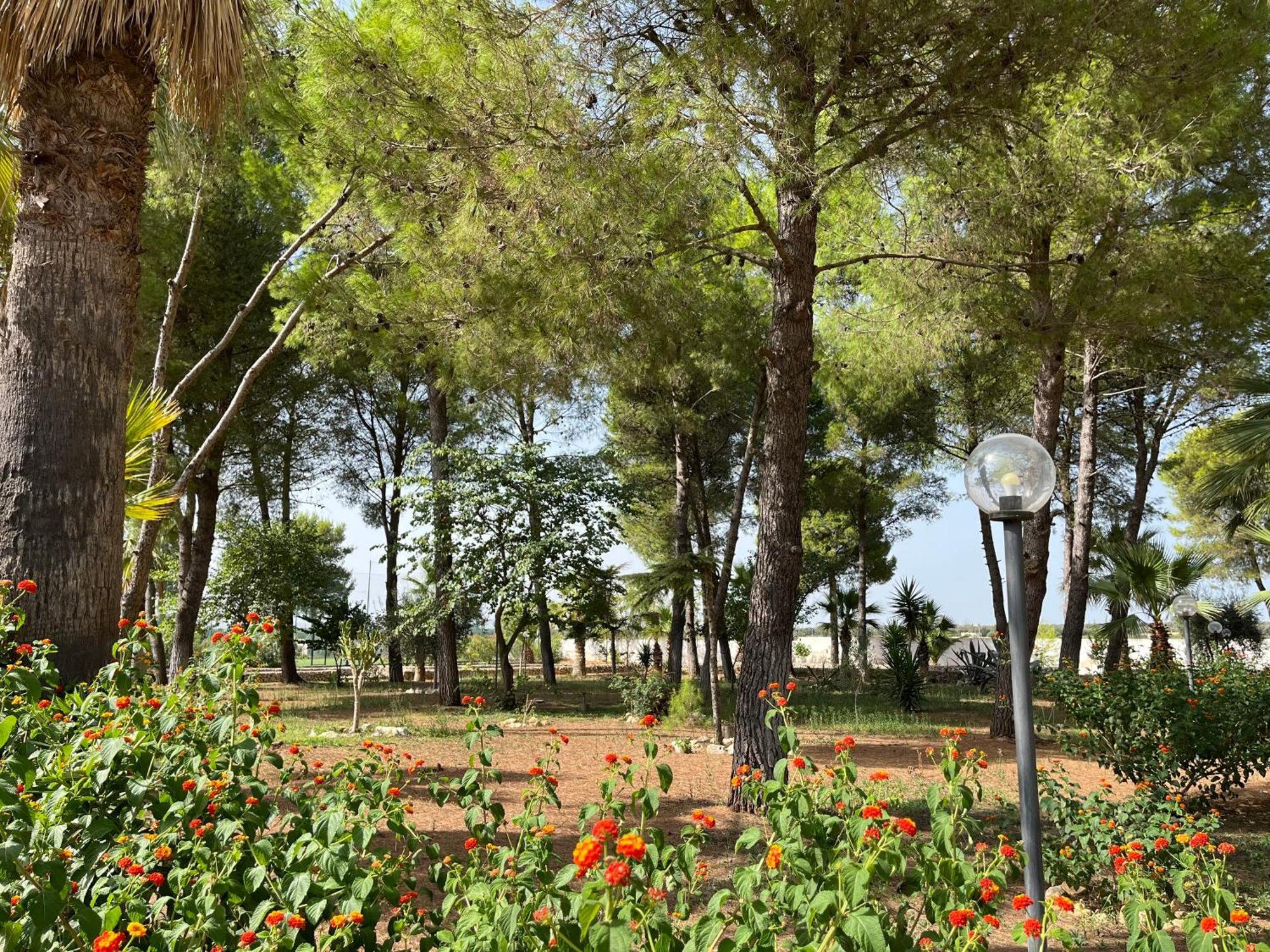 Masseria La Camardia Sava Exterior foto