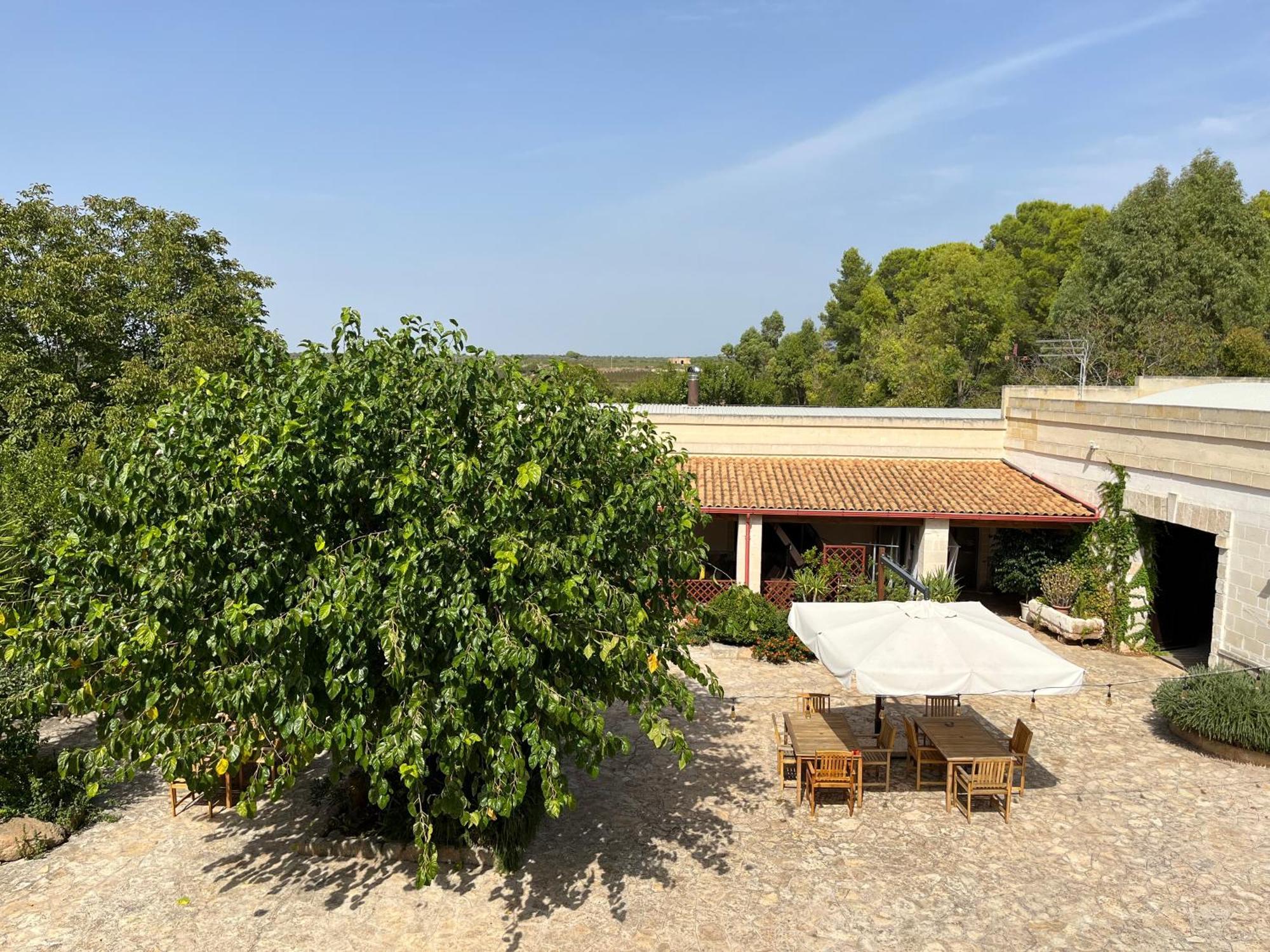 Masseria La Camardia Sava Exterior foto